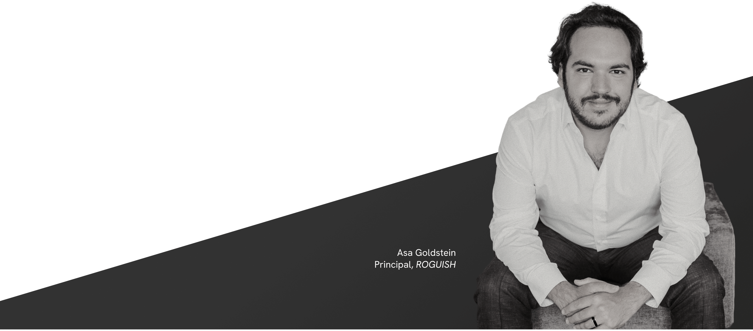 Asa Goldstein, Principal, Roguish